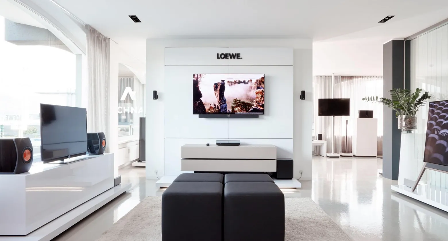 koidlshowroom2018_03.jpg